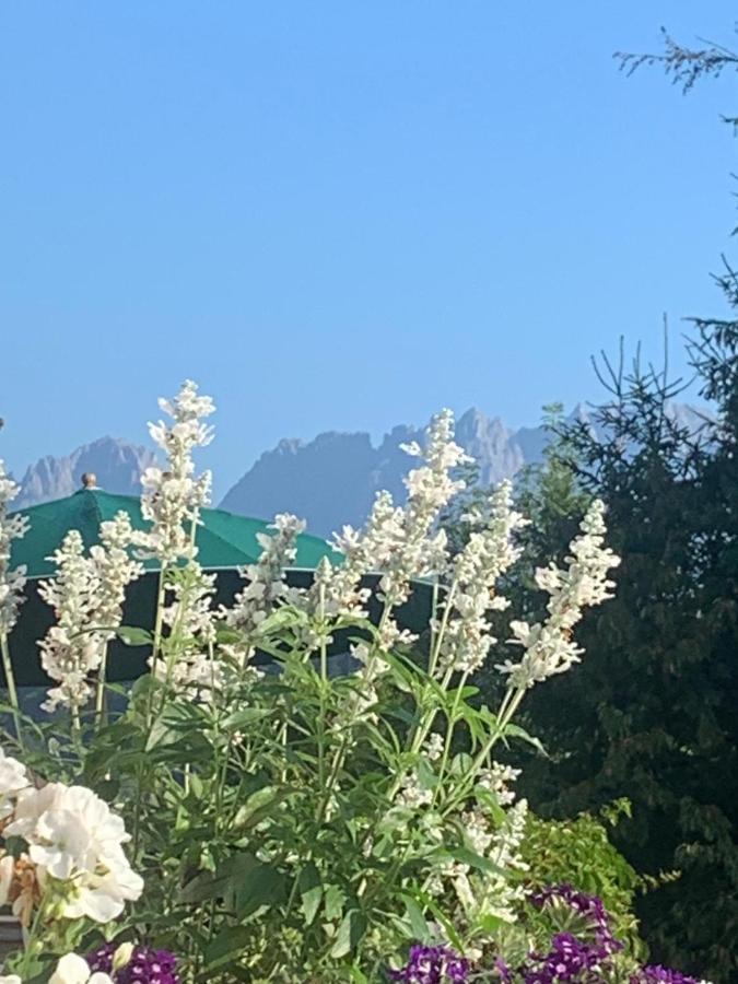 Pension Hinterseer Kitzbühel Eksteriør billede